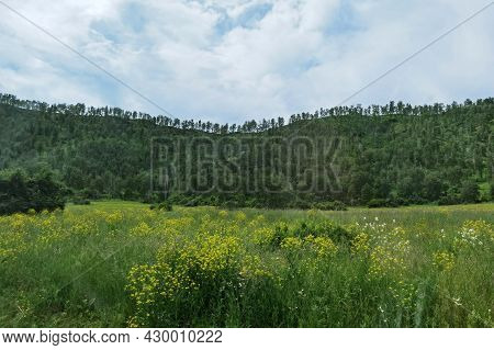 Vacation Landscape. Russian Altai Mountains. Multa Region. Holiday At Home. Staycation Concept. Long