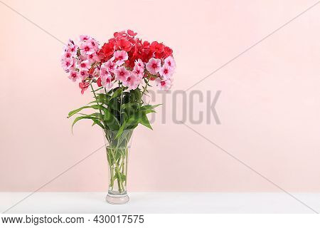 Phlox Flowers In A Vase, Abstract Floral Arrangement, Spring Or Autumn Background With Place For Tex