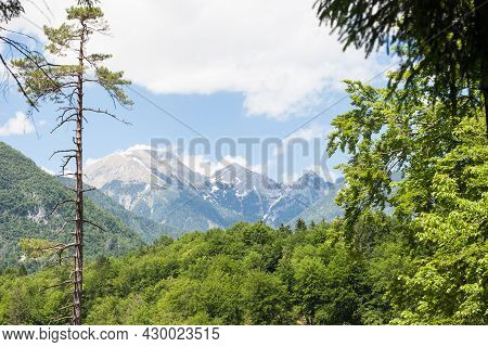 Triglav, Mali Draski, Tosc And Skrlatica Mounts In The Julian Alps, In Slovenia, By Bohinj, Surround