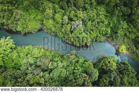 Aerial View River Forest Nature Woodland Area Green Tree, Top View River Lagoon Pond With Blue Water