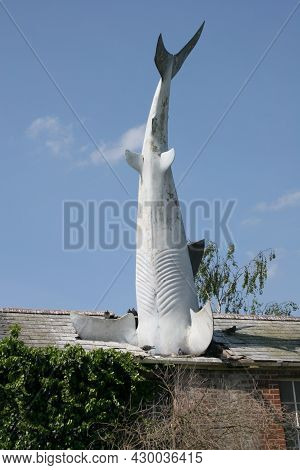 Bill Heine's Shark In A Roof Statue In Headington, Oxford In The Uk, Taken 30th April 2007