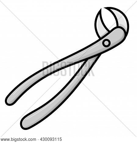 4 Dental Equipment