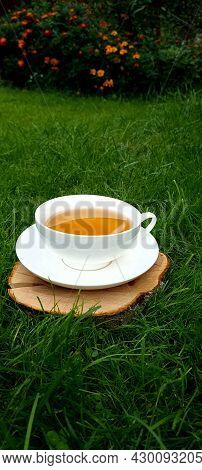 Little Cup Of Herbal Tea With Flowers In Garden