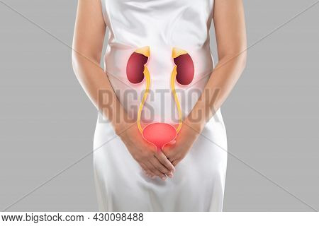 Illustration Of The Bladder And Kidneys Is On The Woman's Body, On A Gray Background, Kidney Failure