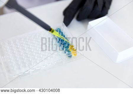 Lab Worker Adding Liquid To Test Tubes