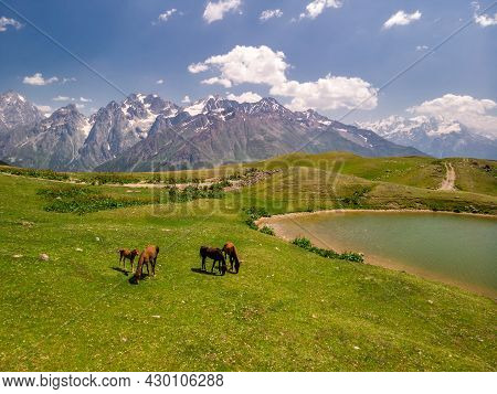 Aerial View At The Koruldi Lakes With Horses And Cows. Mountains At The Background In Caucasus Mount