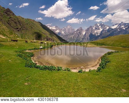 Aerial View At The Koruldi Lakes With Horses And Cows. Mountains At The Background In Caucasus Mount
