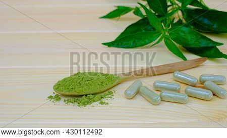 Kariyat Or Andrographis Paniculata Powder In Wooden Spoon With Herbal Capsules And Banch Green Leave