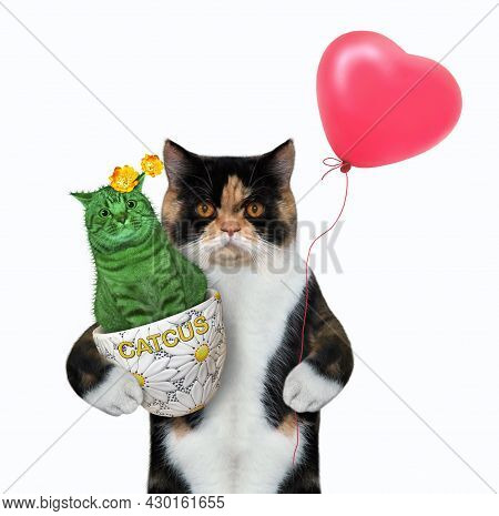 A Colored Cat Holds A Red Balloon And A Catcus Blooming In A Flower Pot. White Background. Isolated.