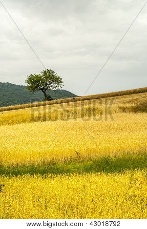 Corno Di Sella (abruzzi) - krajina