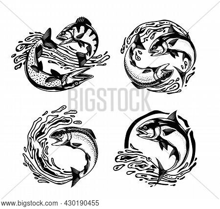 Fish Illustrations With Water Splashes
