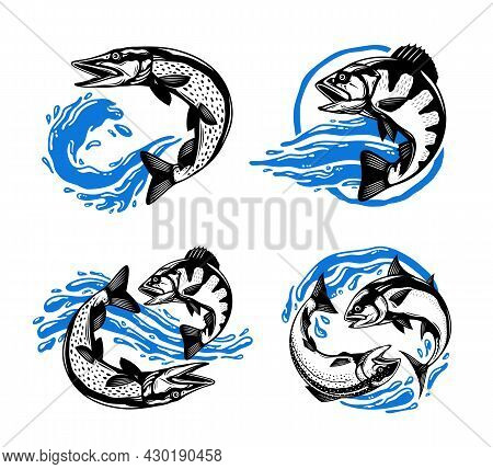 Fish Illustrations With Water Splashes