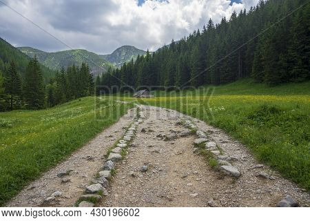Polish Western Tatras. Jaworzynka Valley In June.