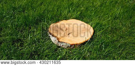 Wood Cut On Green Grass In A Sunny Garden.