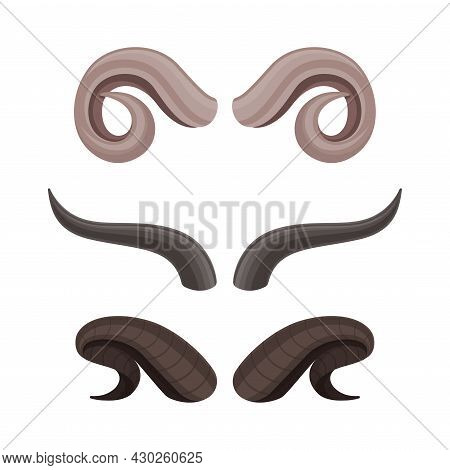 Horns Of Different Animals Set. Buffalo, Ram, Cow Vector Illustration
