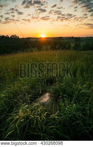 A Beautiful, Natural Grass Growing In The Meadow In Morning Hours. Grasland In Sunrise. Summertime S