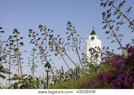 Minareten i Sidi Bou sagde moské i lokale traditionelle farver. Foto taget i forstad til Tunis - FA