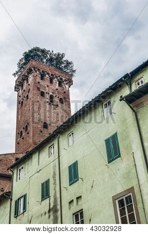 Torre Guinigi Lucca, Italia muurien sisäpuolella.