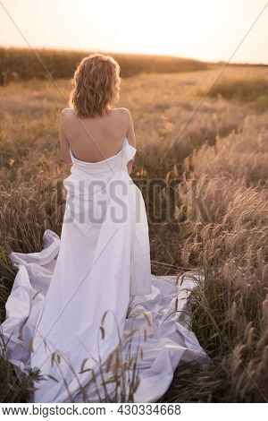 A Young Girl Stands Wrapped In A White Blanket Nens , Standing In A Field Of Wheat With Sunlight.