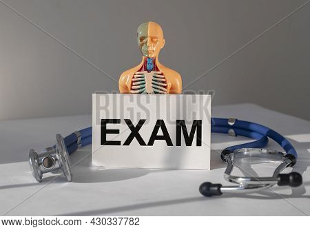 Medical Exam Concept. Inner Organs Examination And Checkup