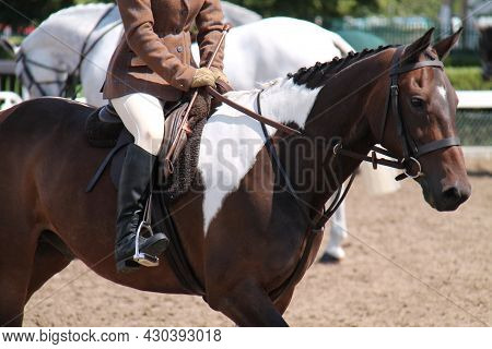 The Rider And Equipment Of A Show Jumping Horse.