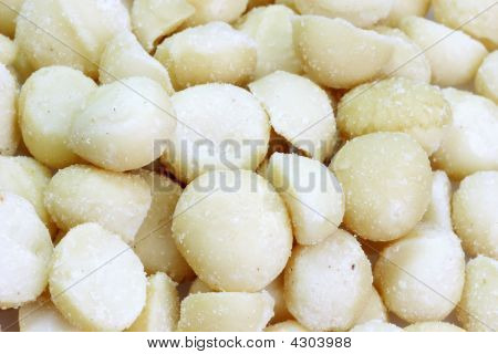 Macadamia