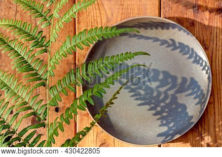 Green Fern Leaf With Hard Deep Shadows On A Wooden Background. Clay Plate With Fern Shadows.