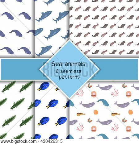 Set With Six Sea Animal Seamless Pattern With Surgeonfish, Narwhale And Shark, Coral. Undersea World