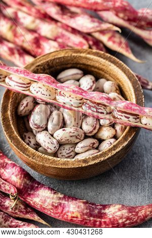 Cranberry beans. Borlotti beans in bowl. Beans pods.