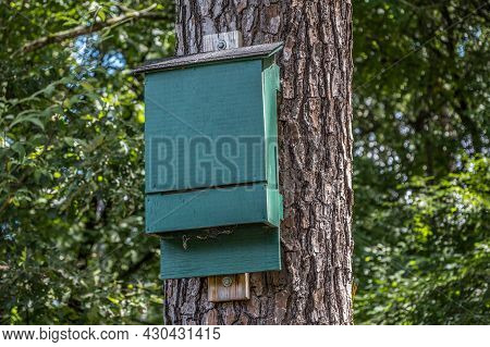 A Painted Wooden Bat Housing Box High Up Mounted On A Tree Vertically Where The Bats Fly Into The Bo