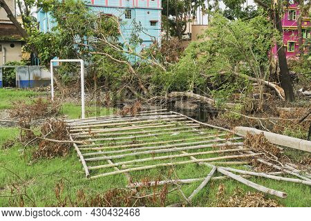 Super Cyclone Amphan Uprooted Trees Which Fell On A Field. The Devastation Has Made Many Trees Fall 