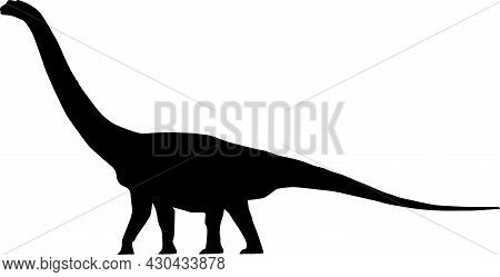 The Silhouette Of A Large Dinosaur With A Long Neck.