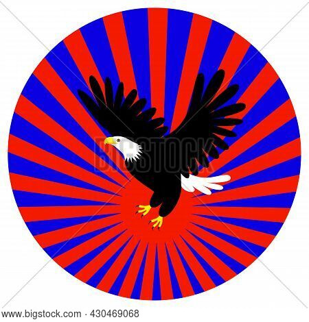 Eagle Vector Logo Template. Flying Eagle On Rays.