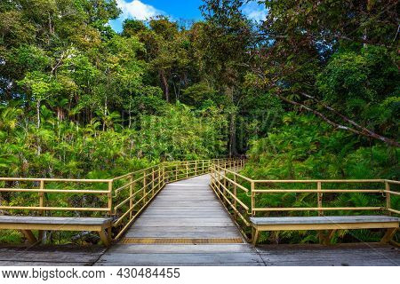Wooden Boardwalk In The Rainforest Of Manuel Antonio National Park, Costa Rica