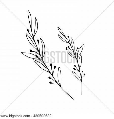 Botanical Linear Leaf Set. Abstract Minimalist Leaves Collection, Creative Herbal Art. Hand Drawn We