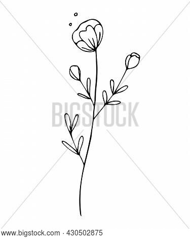 Botanical Linear Leaf Set. Abstract Minimalist Leaves Collection, Creative Herbal Art. Hand Drawn We