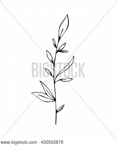 Botanical Linear Leaf Set. Abstract Minimalist Leaves Collection, Creative Herbal Art. Hand Drawn We