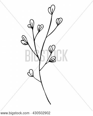 Hand Drawn Wedding Herb, Plant And Monogram With Elegant Leaves For Invitation Save The Date. Vector