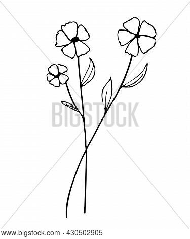 Hand Drawn Wedding Herb, Plant And Monogram With Elegant Leaves For Invitation Save The Date. Vector