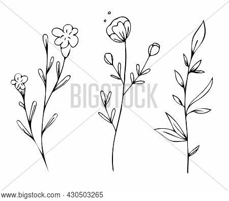 Botanical Linear Leaf Set. Abstract Minimalist Leaves Collection, Creative Herbal Art. Hand Drawn We