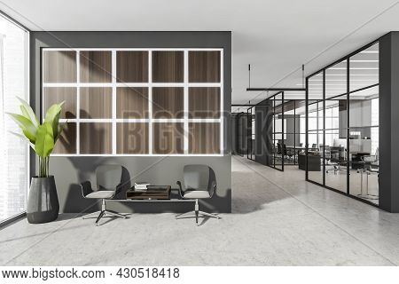 Panoramic Waiting Area Near The Corridor With Glass Entrances. Seat Coffee Table And Indoor Plant Ne