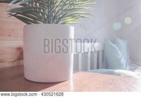 A Picture Of A White Potted Plant Sits On A Wooden Table In The Room And Sunlight Enters Through The