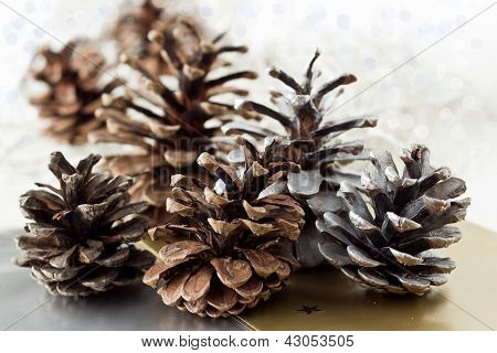 Pine kartio joulukoristeita