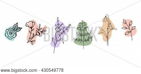 Hand Drawn Flowers And  Leaves In Modern Style, Organic Shapes. Doodle Flowers And Leaves. Vector Il