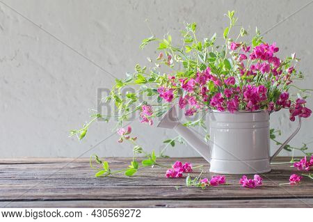 Pink Summer Flowers In Watering Can On Background White Wall