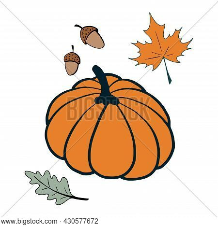 Pumpkin And Leaves Doodle Set. Isolated On White Background. Illustration.