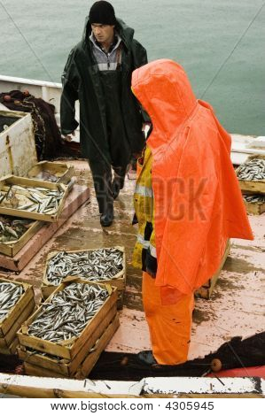 Pescadores en barco de arrastre