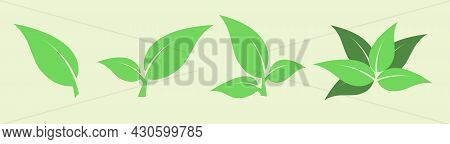 Green Leaves Set Isolated On Green Background. Design Elements For Organic Bio Logo, Natural And Eco