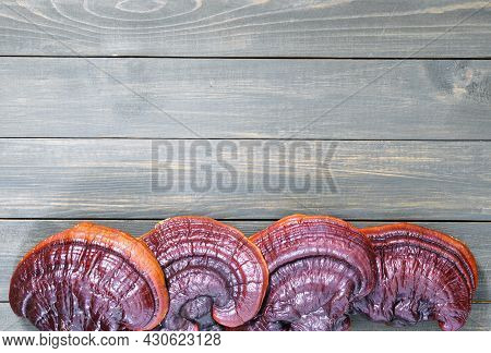 Ganoderma Lucidum Mushroom On Wooden Floor