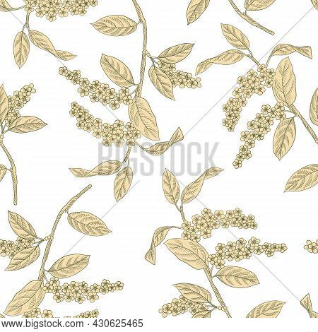 Vector Drawing Seamless Pattern With Flowering Branch Of Bird Cherry Tree With Flowers And Leaves, H